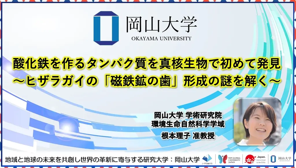 2025年8月8日発表 真核生物の酸化鉄形成メカニズム解明