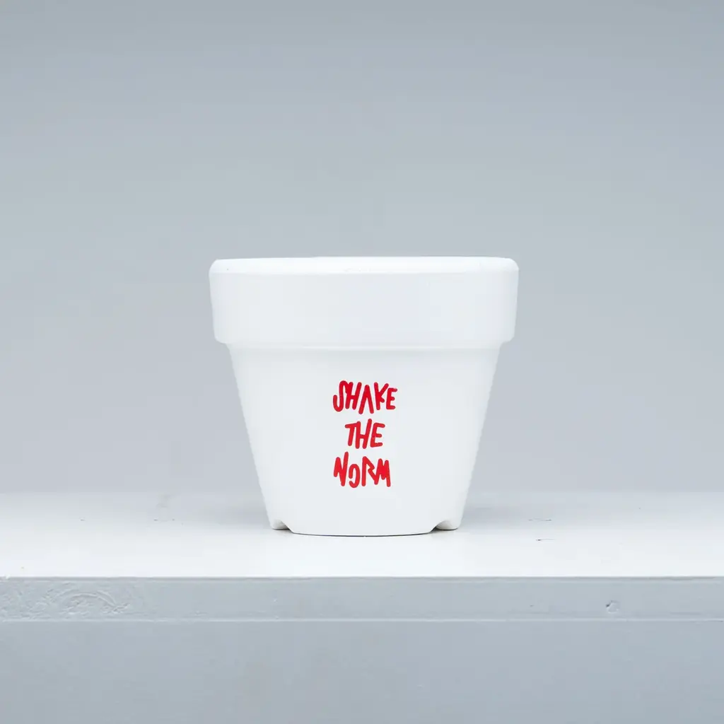 新D2Cブランド「SHAKE THE NORM」誕生 画像 3
