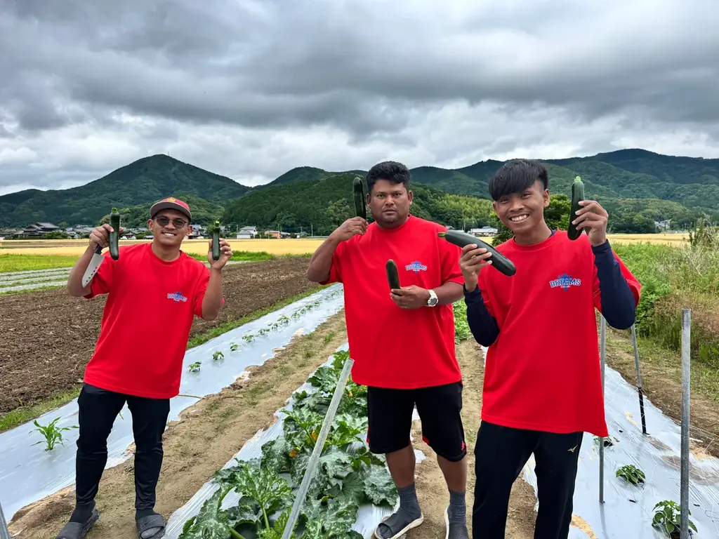 異色のプロ野球選手が育てた野菜、販売開始！ 画像 10