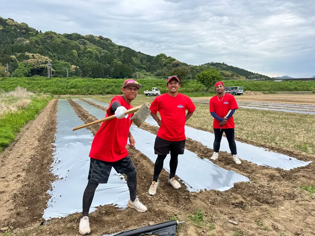 異色のプロ野球選手が育てた野菜、販売開始! 画像 3