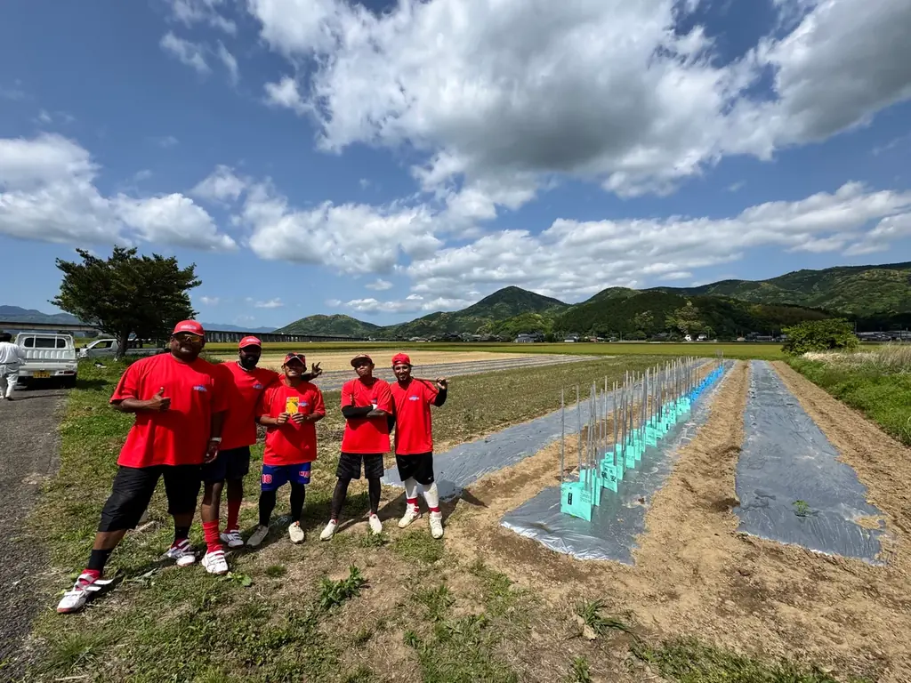 異色のプロ野球選手が育てた野菜、販売開始! 画像 5