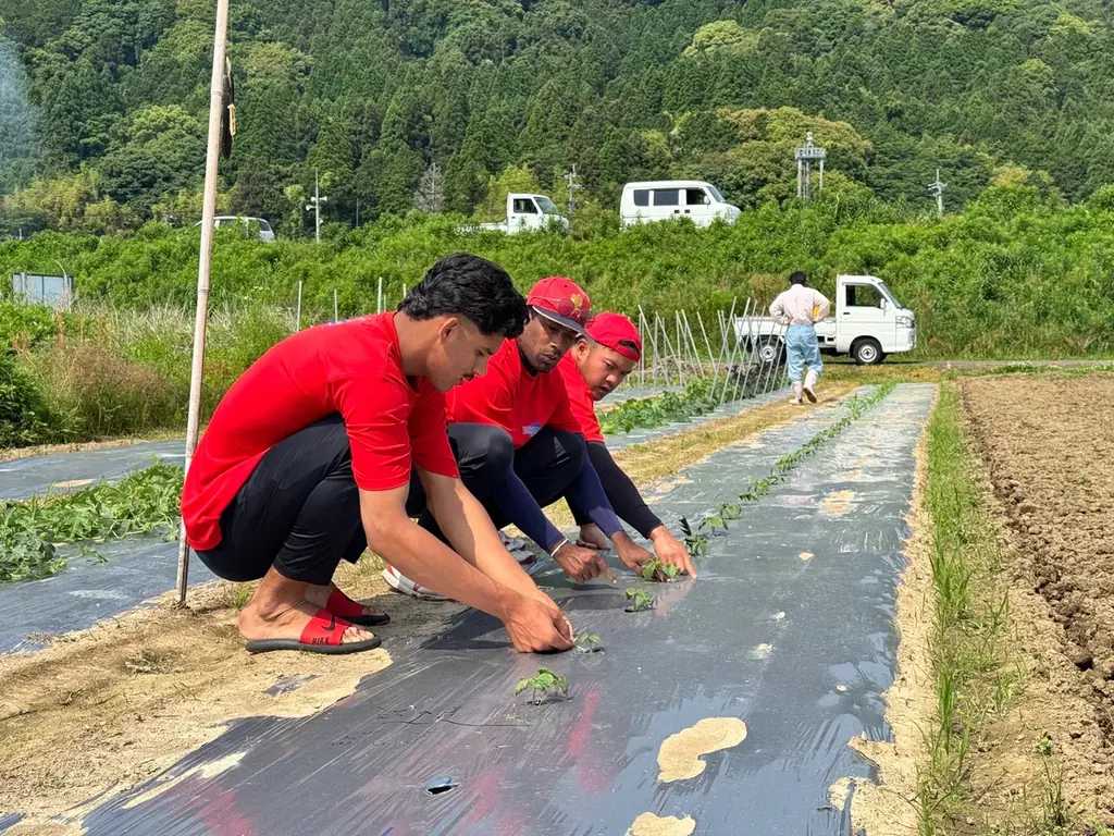 異色のプロ野球選手が育てた野菜、販売開始！ 画像 6