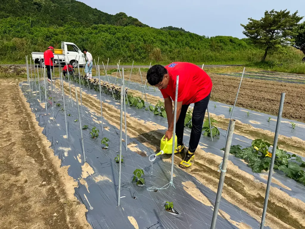 異色のプロ野球選手が育てた野菜、販売開始！ 画像 7