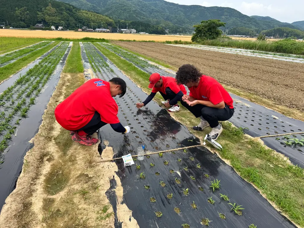 異色のプロ野球選手が育てた野菜、販売開始！ 画像 8