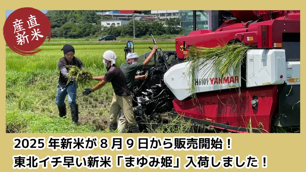 【新米入荷しました】「今年は予想以上に美味しい！」と太鼓判！東北で一番早い新米「まゆみ姫」楽天で本日販売スタート！農家直送・数量限定。穫れたての美味しさを真空パックでお届け。福島県本宮市御稲プライマル 画像 1