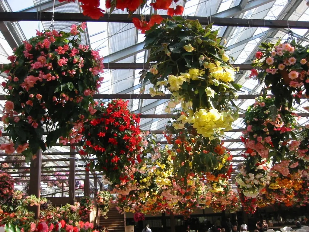 旅行アプリ『NEWT（ニュート）』、全国1,724自治体から選ぶ！自治体ランキング「夏こそ“旅育”！学んで遊べる親子旅スポット 」TOP100を発表 画像 10