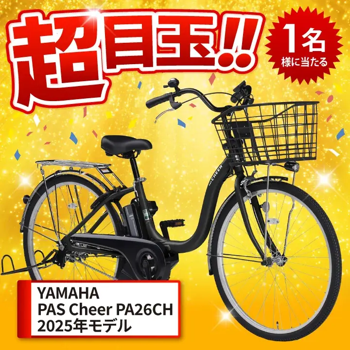 この夏お得!大阪王将公式通販史上最大!バラエティ福袋が登場! 画像 3