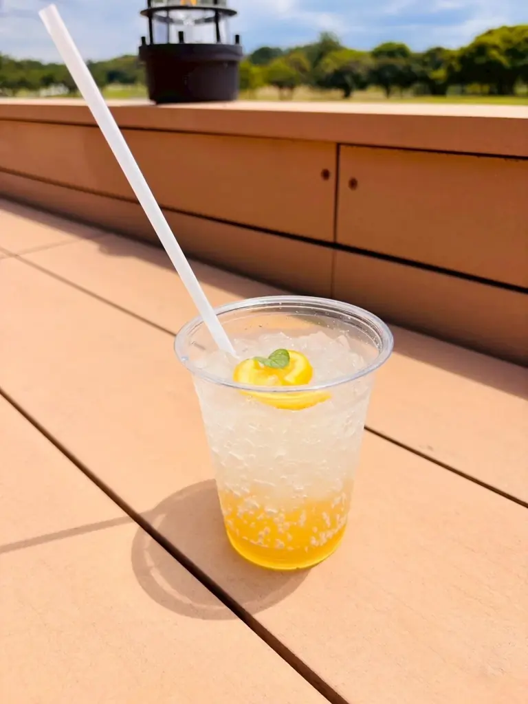 グリーンコキア見頃【国営海の中道海浜公園】 画像 4