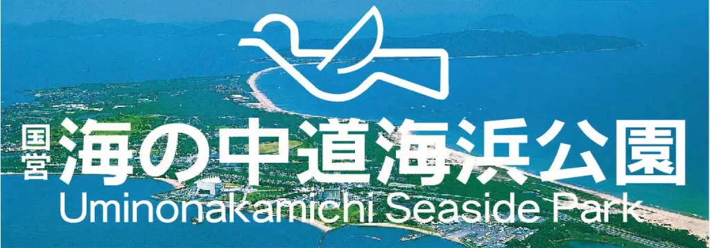 グリーンコキア見頃【国営海の中道海浜公園】 画像 7