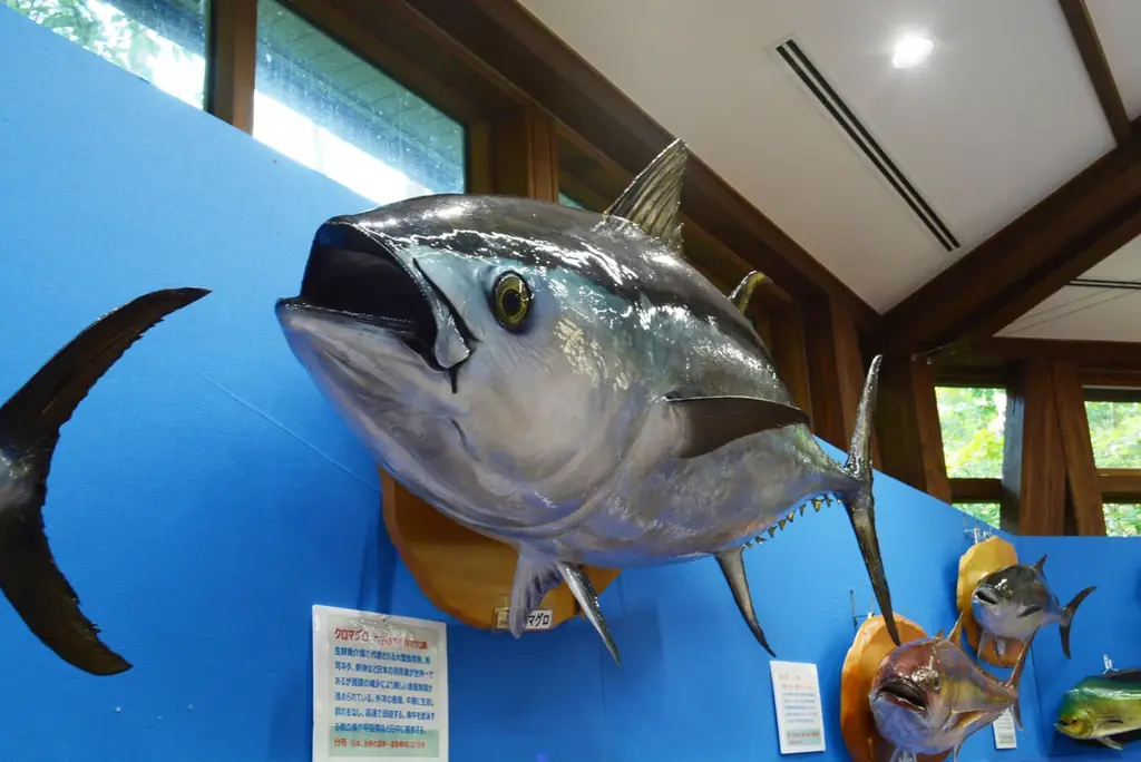 安曇野で深海生物を間近に　魚魚展は8/31まで