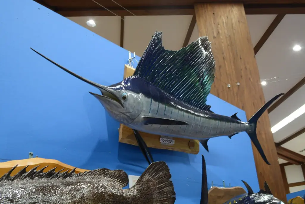 魚魚展開催中！【国営アルプスあづみの公園　堀金・穂高地区】 画像 4
