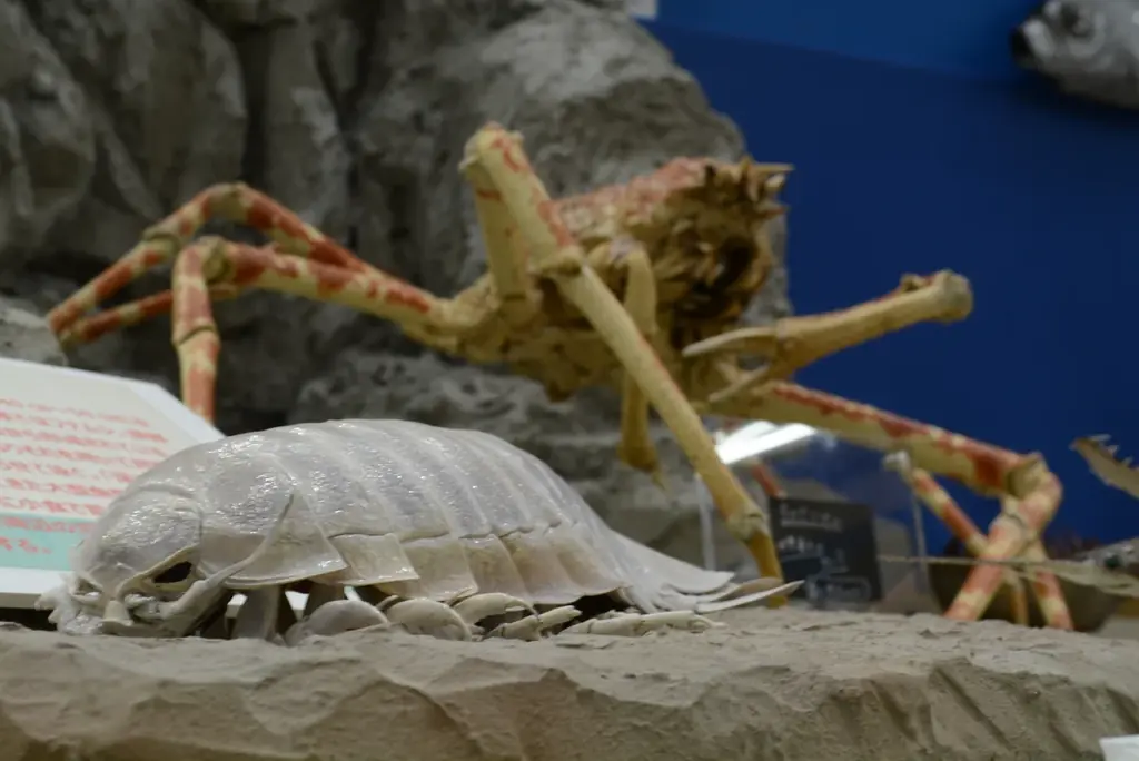 魚魚展開催中！【国営アルプスあづみの公園　堀金・穂高地区】 画像 5