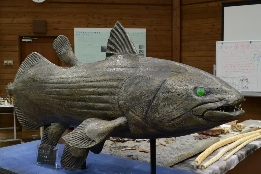 魚魚展開催中！【国営アルプスあづみの公園　堀金・穂高地区】 画像 6