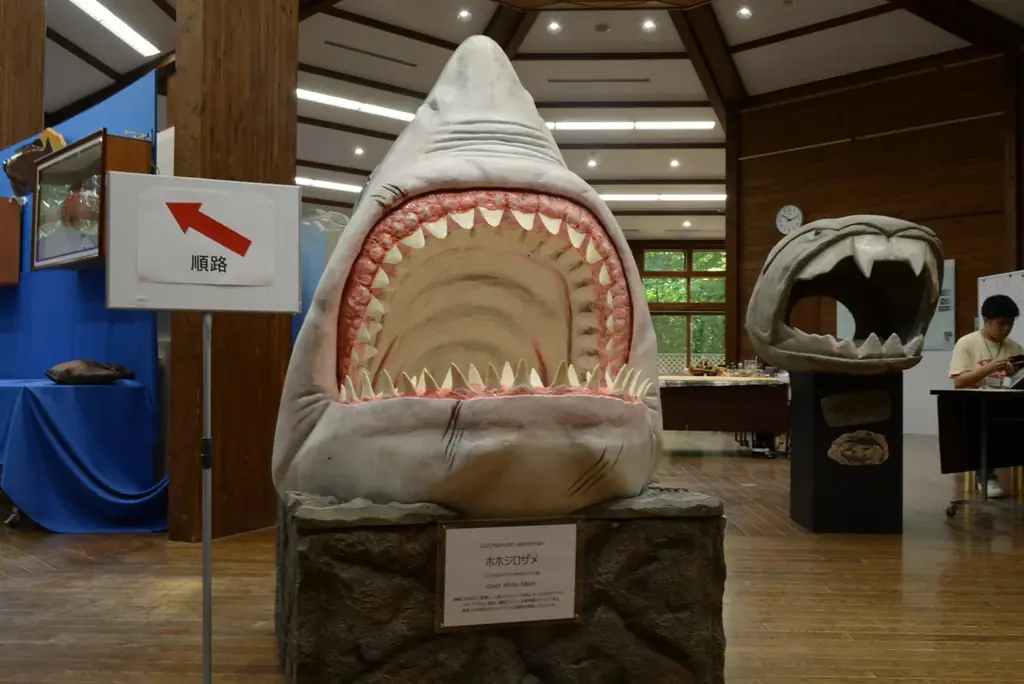 魚魚展開催中！【国営アルプスあづみの公園　堀金・穂高地区】 画像 7