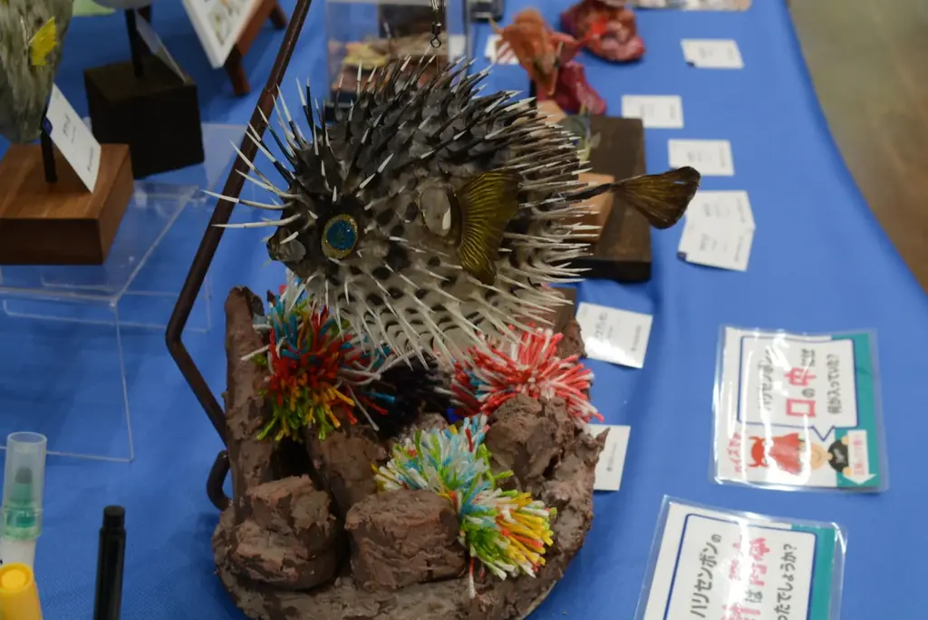 魚魚展開催中！【国営アルプスあづみの公園　堀金・穂高地区】 画像 9