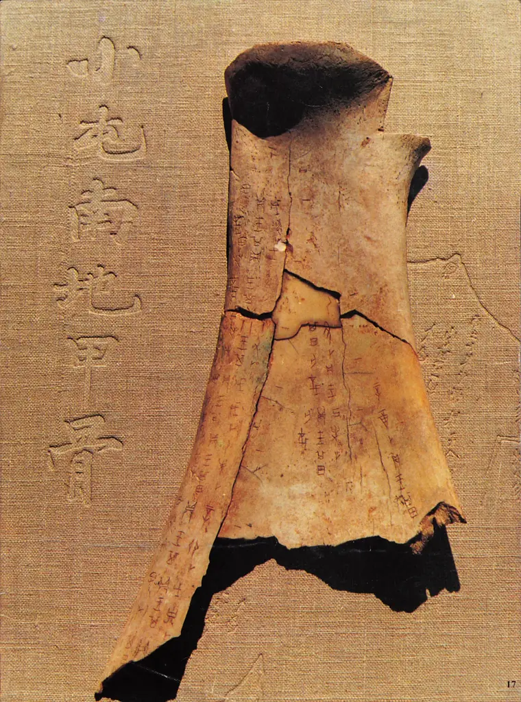 河南省が万博へ！2025大阪・関西万博「安陽デー」開催迫る 画像 8