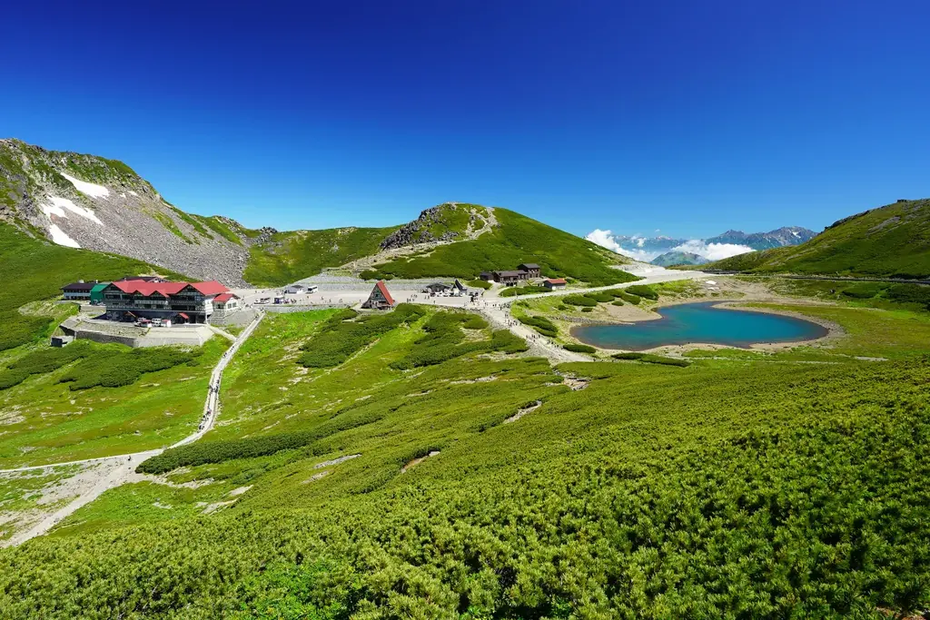 【飛騨高山・岐阜県高山市】新企画！乗鞍ライチョウルート「乗鞍畳平・乗鞍高原・上高地周遊ツアー」開催決定！ 画像 1