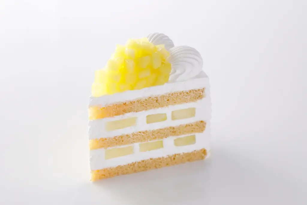 関西最大級のブライダルフェアが開幕！開業40周年記念特別プランもお目見え！ 画像 5