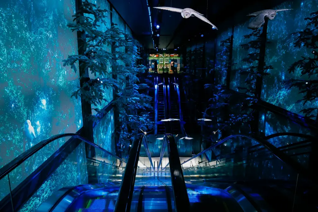 日本初の旗艦店「ハリー・ポッター ショップ 原宿」8月14日にグランドオープン　マルフォイ役のトム・フェルトンが緊急来日　ショップオープン記念にtimelesz 松島聡さんとバタービールで特別な乾杯！ 画像 9