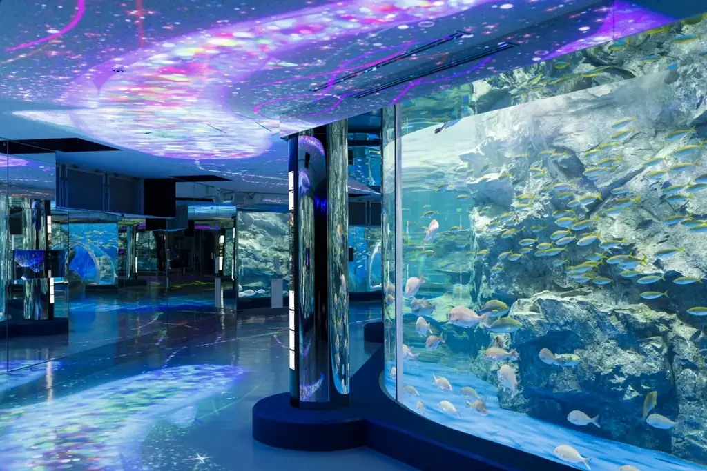 【サステナブルな支援の輪】のとじま水族館 × ANAクラウンプラザホテル金沢 復興支援コラボレーションスイーツ企画の第二弾 画像 7