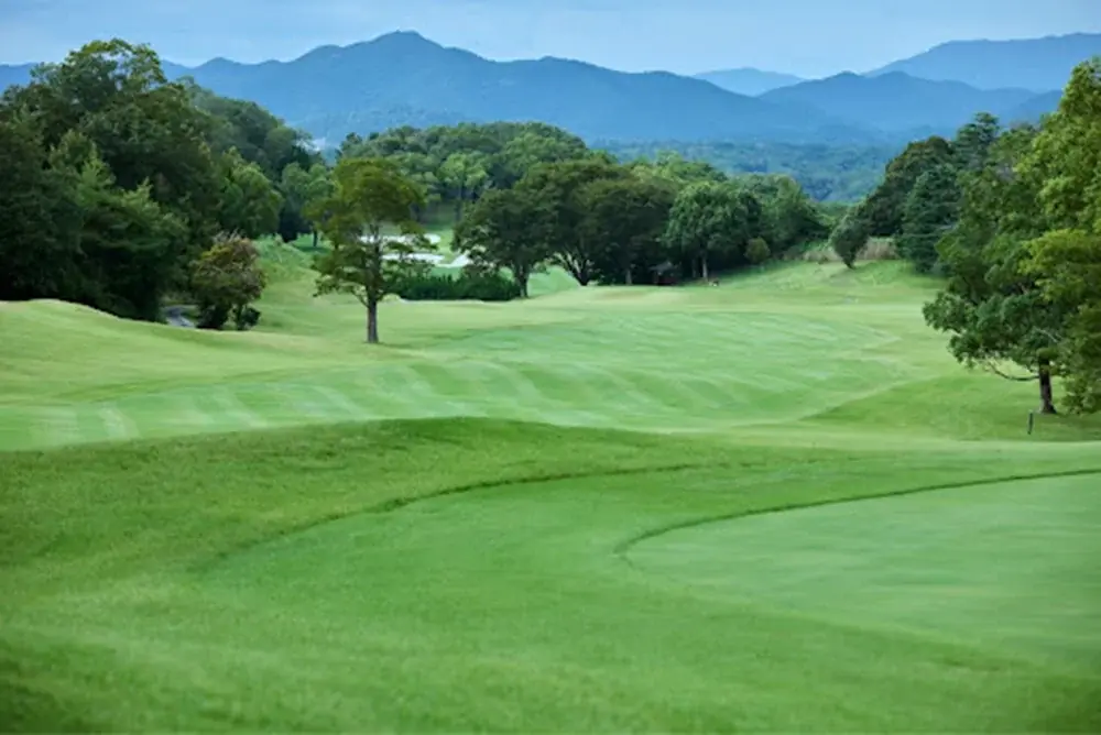 【ゴルフ場広告】2025年10月枠の募集を開始！【東条の森カントリークラブ×アドボックス】 画像 2