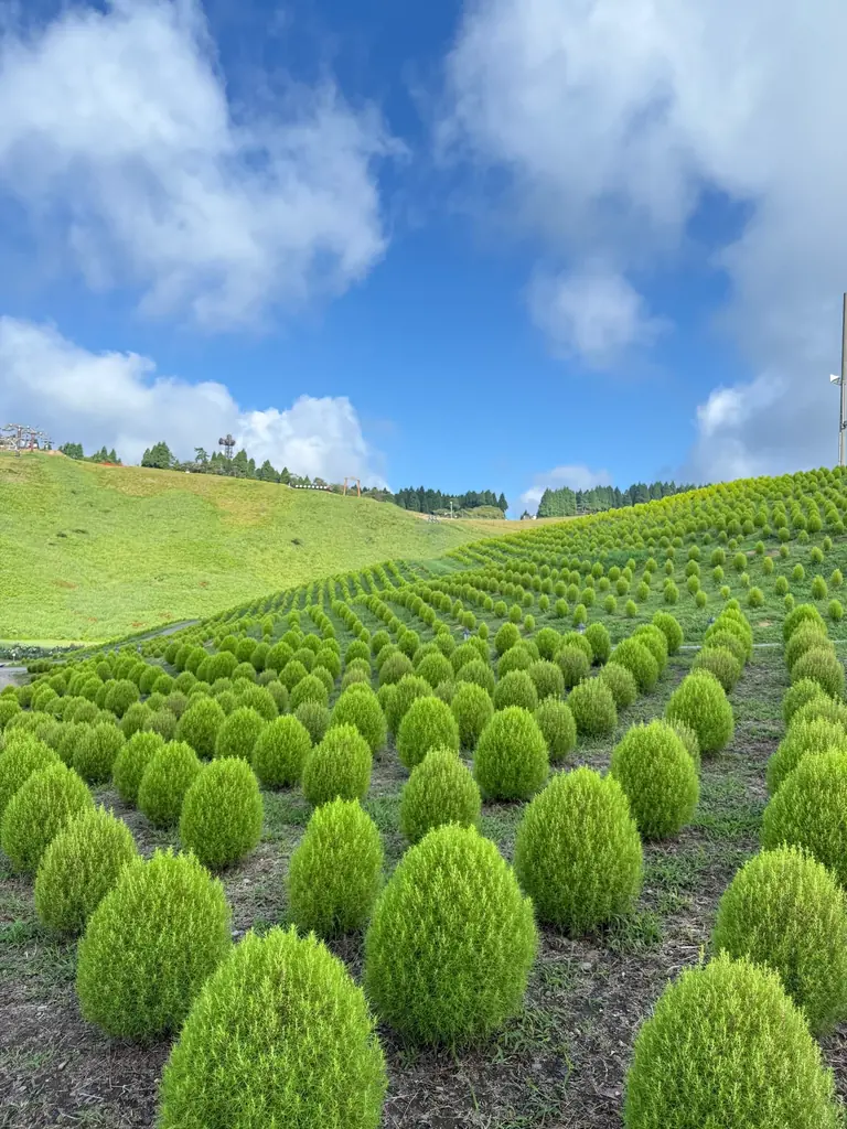 箱館山グリーン開幕