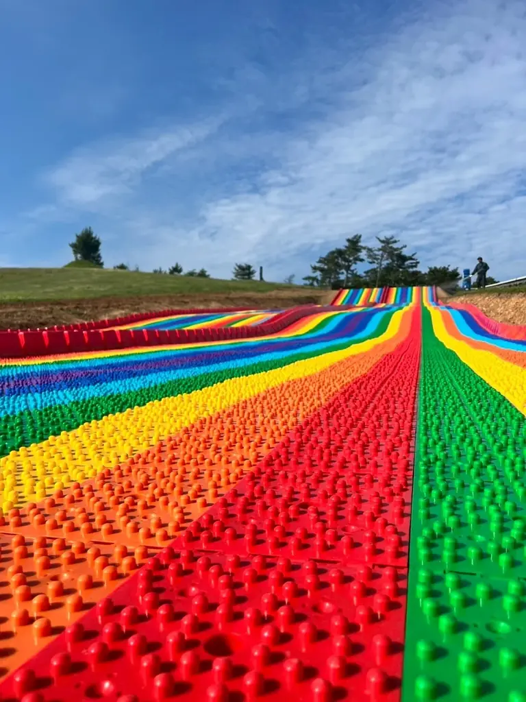 【びわこ箱館山】約8,000株グリーンコキアが見頃！桃色吐息のピンク絨毯が圧巻！ 画像 11