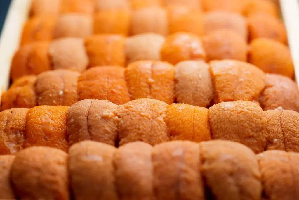 【逆境を“粋”に跳ね返す】製造業を辞め、家族を支えながら料理修行─雲丹パスタをより濃厚にアップデートした「雲丹パスタ2.0」 を携え、Dining IKINA が 9月3日（水）リニューアルオープン 画像 2