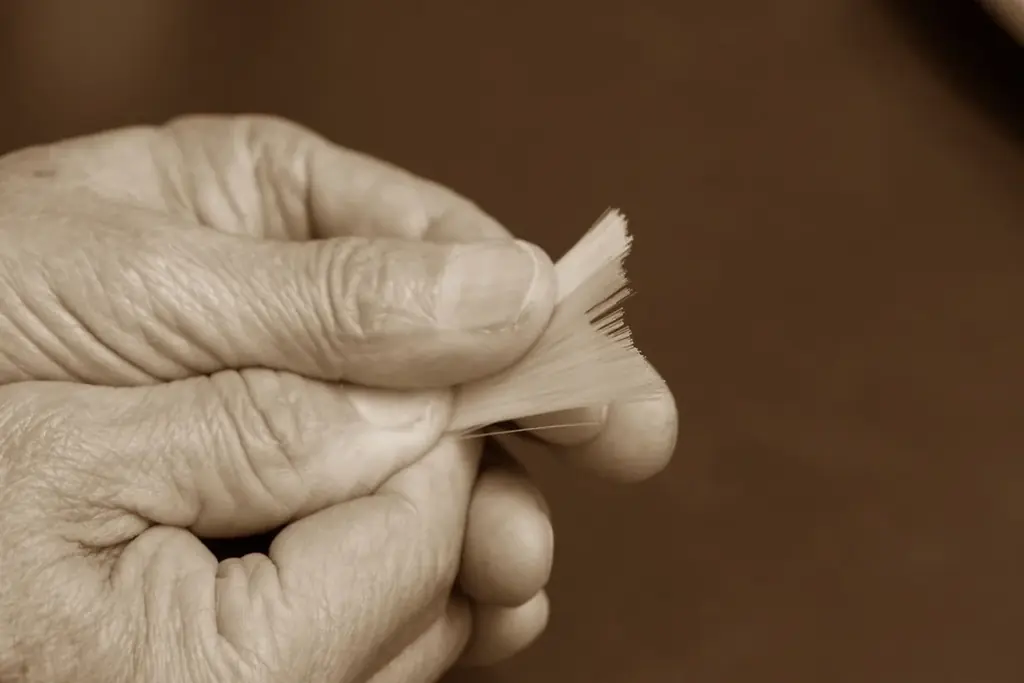 ラブ・ライナーのシリーズ累計3,200万本*²を突破した「失敗しない*¹」リキッドアイライナーがリニューアル！ 画像 3