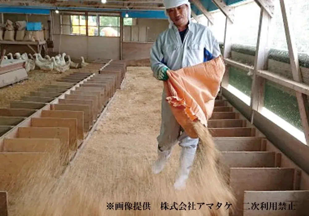 飲食店向け総合食品卸のプレコフーズ　初のオリジナルブランド鴨『岩手 美海鴨』を販売開始　全飼育期間中、抗生物質や合成抗菌剤を一切使わず　自然由来の飼料で肥育の国産鴨肉 画像 5