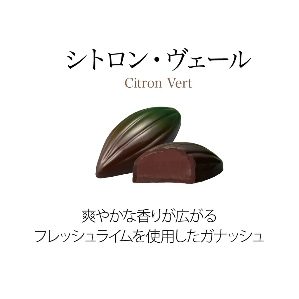 ベルギー王室御用達チョコレートブランド「ヴィタメール」ブランドを代表する定番ショコラをリニューアルいたします 画像 12