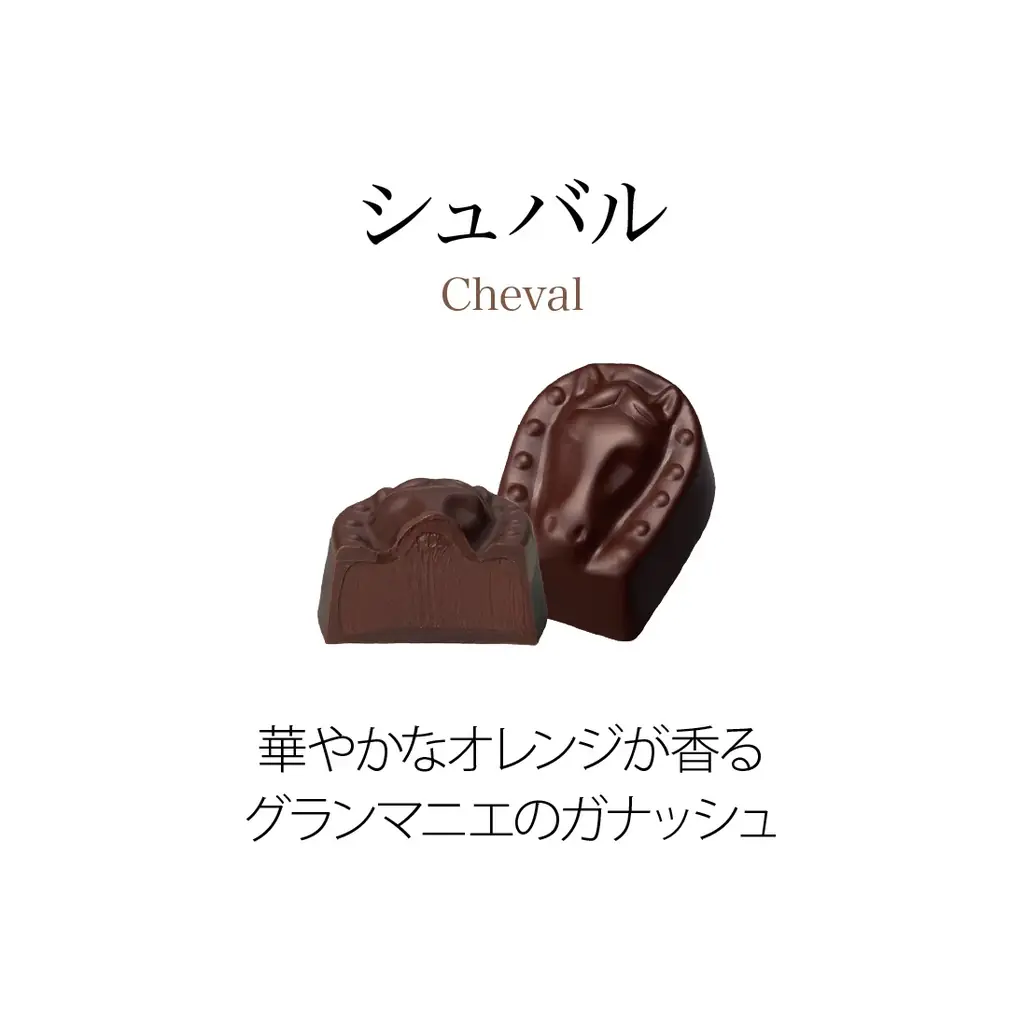 ベルギー王室御用達チョコレートブランド「ヴィタメール」ブランドを代表する定番ショコラをリニューアルいたします 画像 13