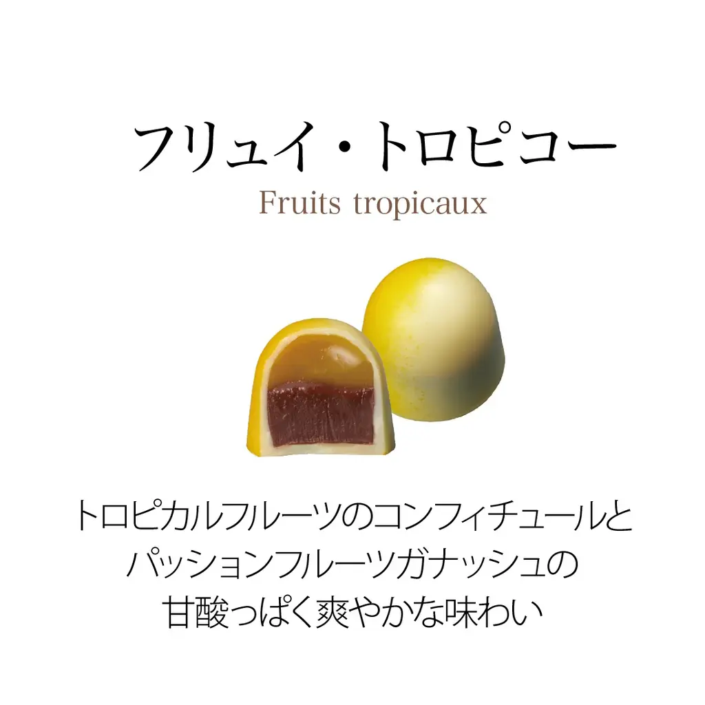 ベルギー王室御用達チョコレートブランド「ヴィタメール」ブランドを代表する定番ショコラをリニューアルいたします 画像 15