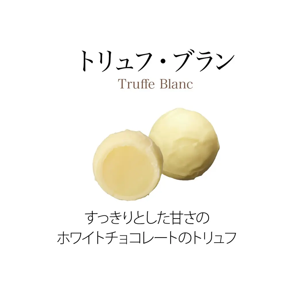 ベルギー王室御用達チョコレートブランド「ヴィタメール」ブランドを代表する定番ショコラをリニューアルいたします 画像 19