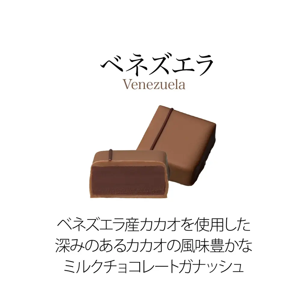 ベルギー王室御用達チョコレートブランド「ヴィタメール」ブランドを代表する定番ショコラをリニューアルいたします 画像 22