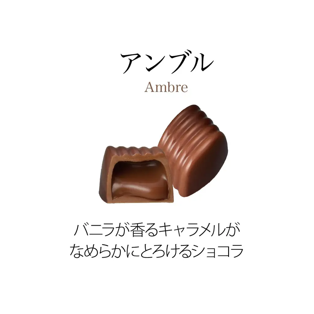 ベルギー王室御用達チョコレートブランド「ヴィタメール」ブランドを代表する定番ショコラをリニューアルいたします 画像 9