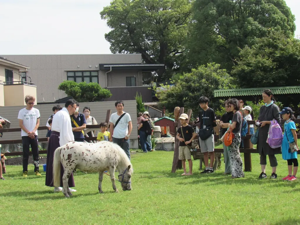 うれしい！たのしい！ありがたい！　熊野祭！ 画像 11