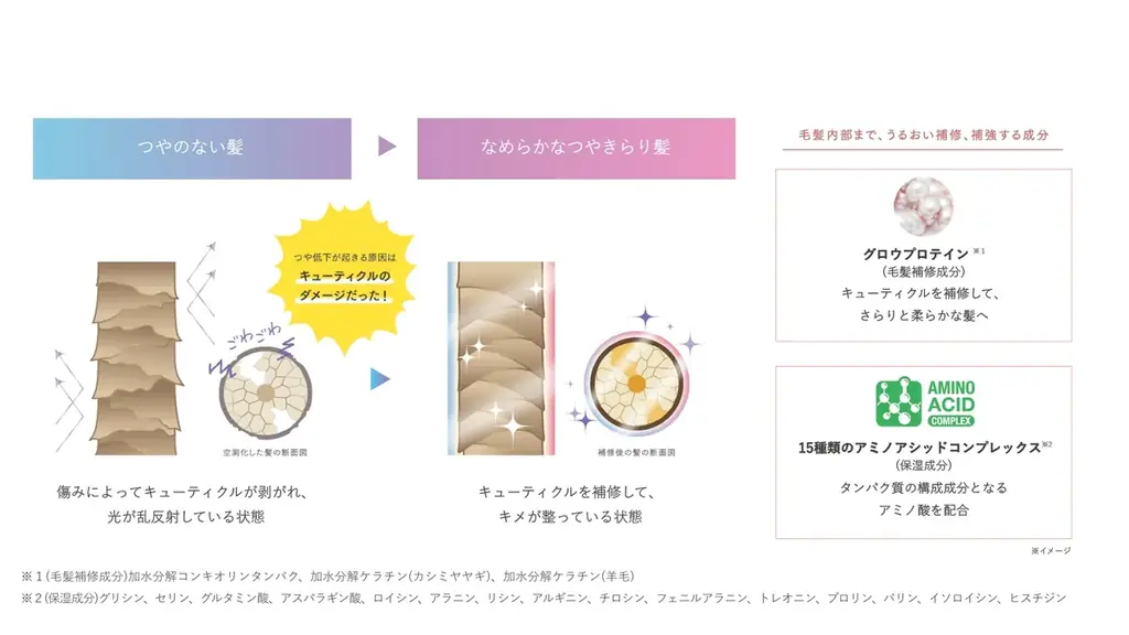 「ulumee(ウルミー)」からごわつきや絡まりを抑え、ダメージ補修するヘアケアラインが登場!タンパク質美容とトリプルグロウシステムで、輝くつやが続く、つやきらり髪。 9月1日新発売。 画像 2