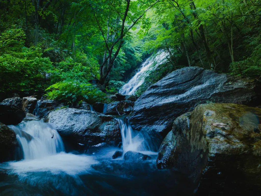 暑い日が続く今だからこそ行きたい！「晴れの国おかやま」の感性を刺激する観光スポット10選 画像 10