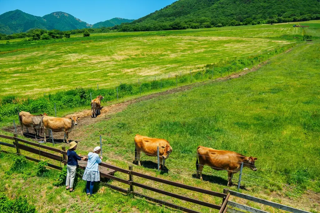 暑い日が続く今だからこそ行きたい！「晴れの国おかやま」の感性を刺激する観光スポット10選 画像 6