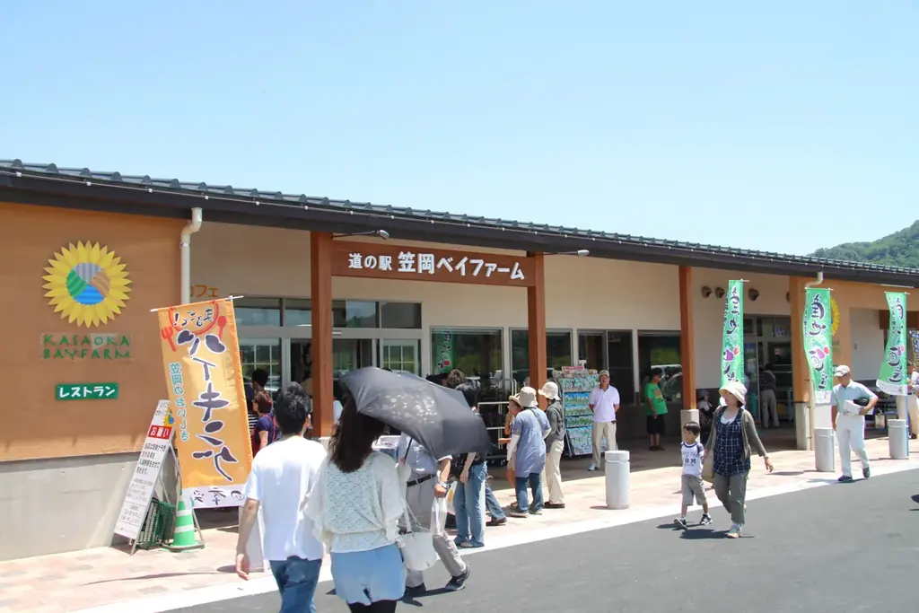 暑い日が続く今だからこそ行きたい！「晴れの国おかやま」の感性を刺激する観光スポット10選 画像 8