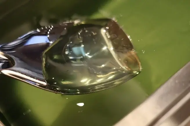 【新業態】武蔵野うどん×天ぷら×ごはんが食べ放題！税込968円～で楽しめる「武蔵野うどん小麦晴れ」が8月27日(水)オープン！ 画像 5