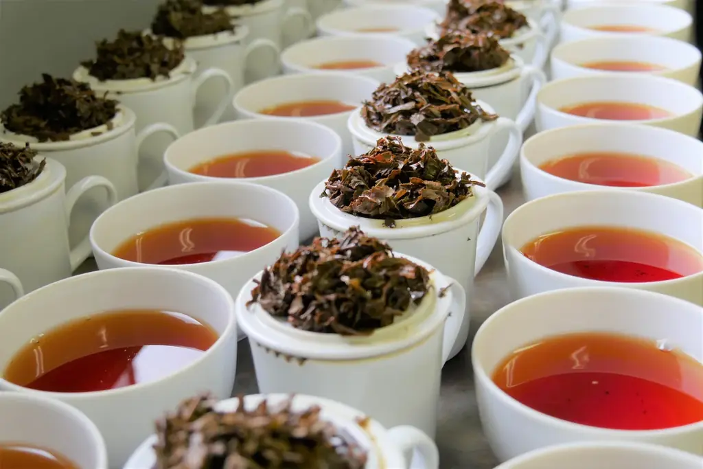 8月30日オープン メリケンパークのライフスタイルカフェ「39 days KOBE」、神戸のあんこやさんのあんバターなどオリジナルメニューを発表 画像 9