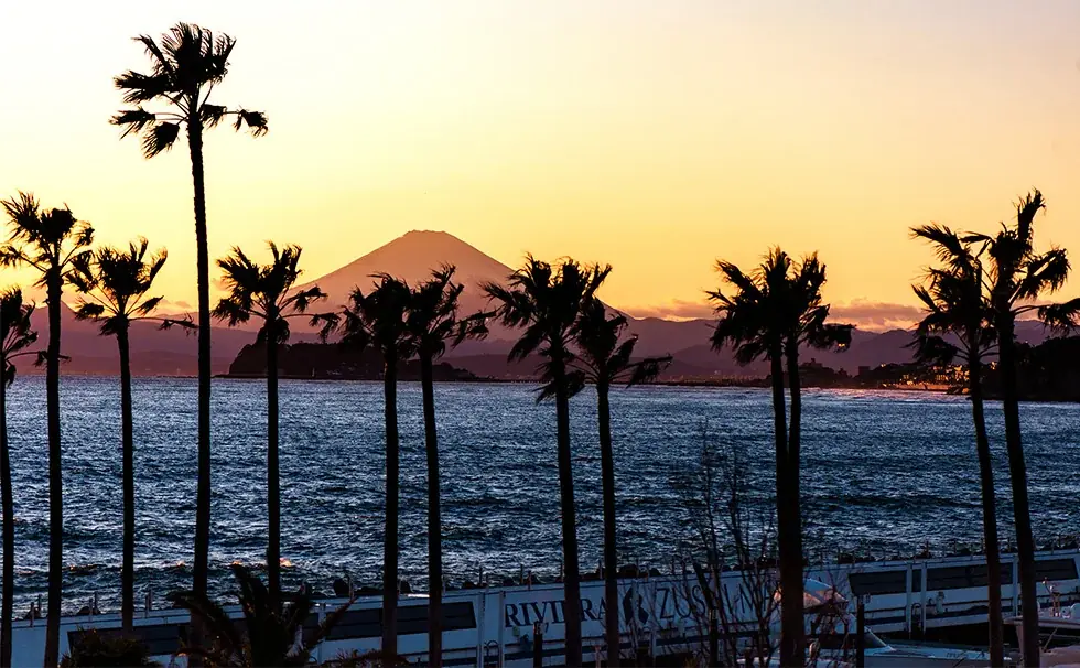 「ムーミン」の物語にひたる旅、秋の湘南へ。海と富士山が出逢う「リビエラ逗子マリーナ」で、泊まり・味わい・アートに心ほどけるラグジュアリーな休日”大人の贅沢バカンス”を。 画像 6