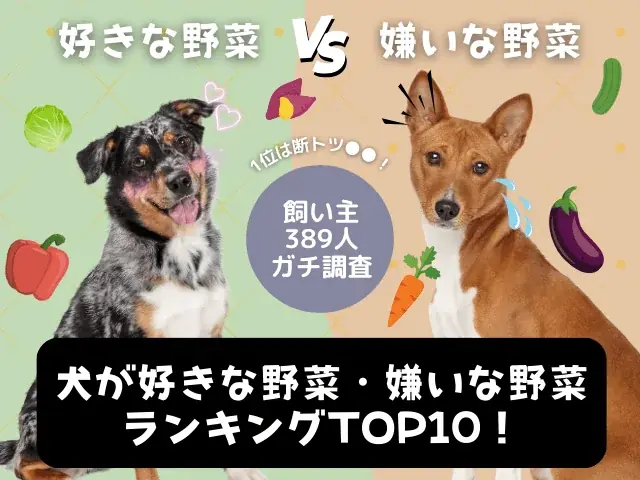【飼い主389人に調査】犬が好きな野菜No.1は断トツ●●だった！嫌いな野菜ランキングも公開 画像 1