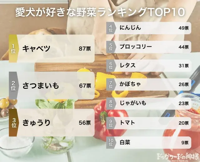 【飼い主389人に調査】犬が好きな野菜No.1は断トツ●●だった！嫌いな野菜ランキングも公開 画像 4