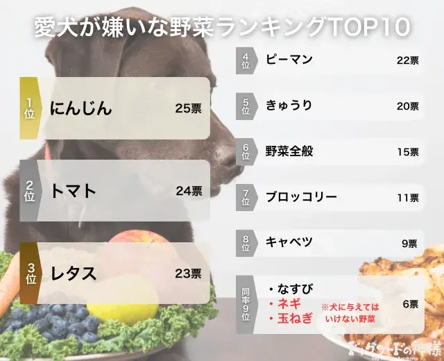 【飼い主389人に調査】犬が好きな野菜No.1は断トツ●●だった！嫌いな野菜ランキングも公開 画像 5