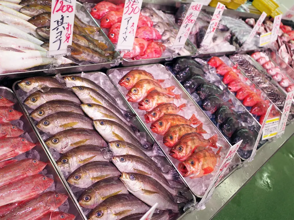 角上魚類、2026年初秋に鶴ヶ島店オープン決定。埼玉県鶴ヶ島市での新たな鮮魚専門店が地域活性化に寄与 画像 10