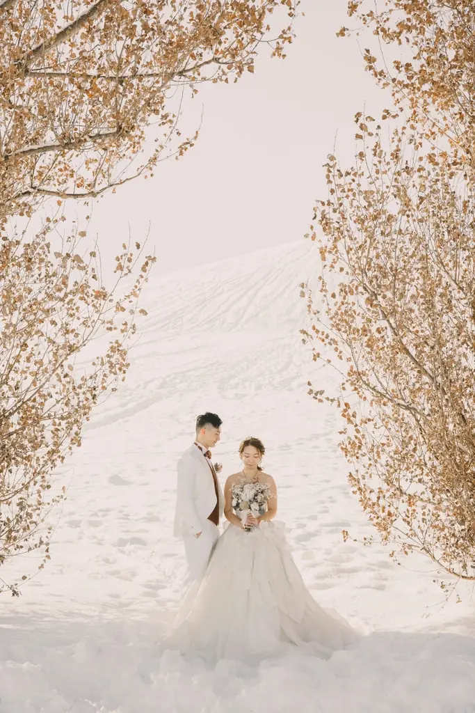 雪とアートを満喫！冬のモエレ沼公園の魅力 画像 3