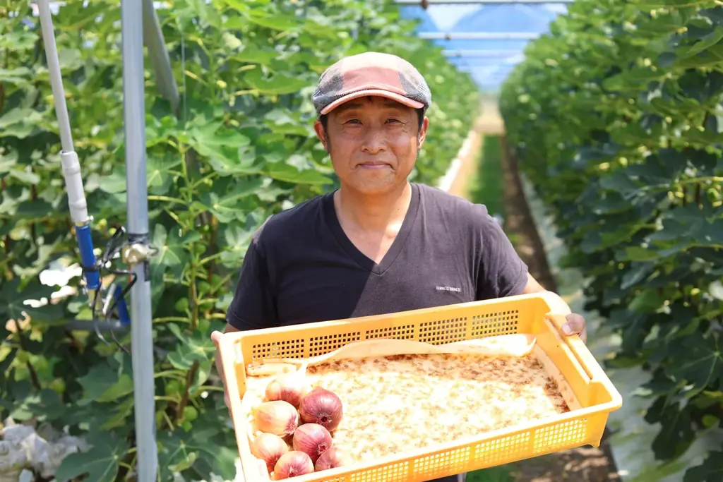 西尾市の農園直送フルーツが主役!大河内農園いちじく&きらり園の梨を使った”夏限定かき氷”新登場 画像 4